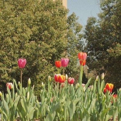 狗万manbetapp下载