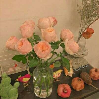 半岛手机综合体育登录截图